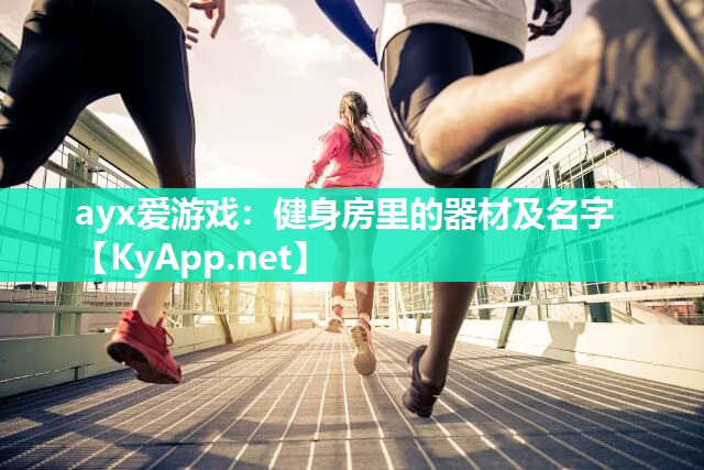 ayx爱游戏：健身房里的器材及名字